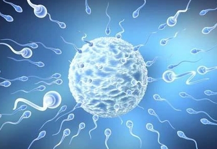 贵州三代试管婴儿医院名单发布，2025 试管费用明细和成功率揭晓