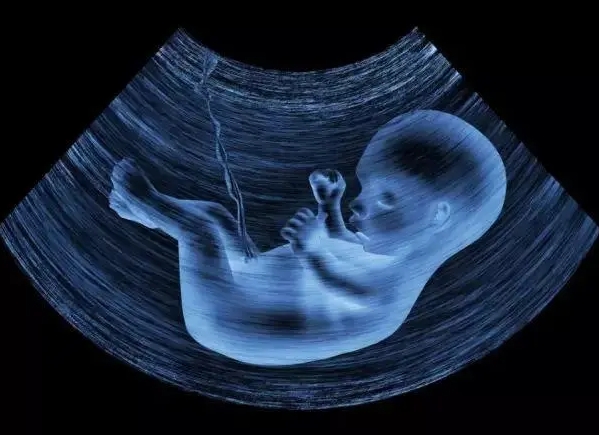 2025 韶关市妇幼保健院试管费用明细大揭秘