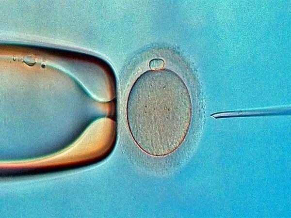 试管婴儿费用知多少？医院等级与药物的 “价格密码”