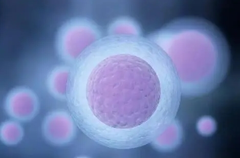 试管婴儿移植前要准备什么？激素的使用要尽量避免