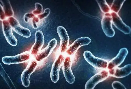 卵巢功能不好可以做试管吗？这些因素都会影响怀孕几率