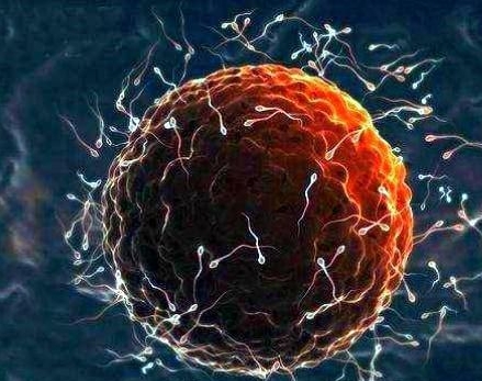 试管婴儿价格知多少？2024 年最新收费清单一览