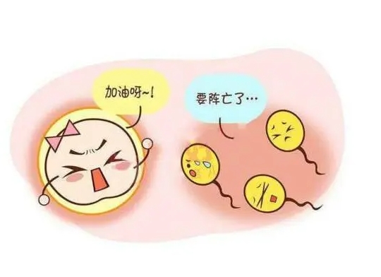 着床成功后的白带奥秘：颜色变化与常见问题