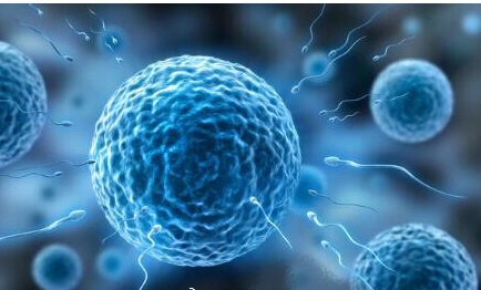 试管婴儿之路：多少次才能成功？年龄与精液质量是关键