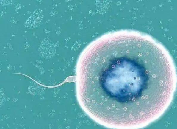 如何选择靠谱的试管婴儿机构？关键指标要牢记！