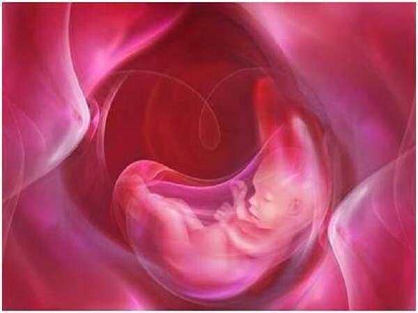 腹腔穿刺取卵详解：流程与取卵后护理