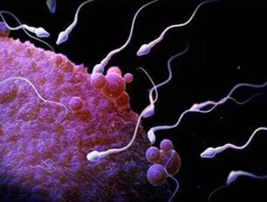 试管婴儿周期全知道，助您轻松踏上孕育之旅