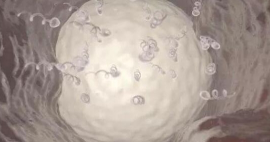 试管移植后，痛经来袭怎么办？