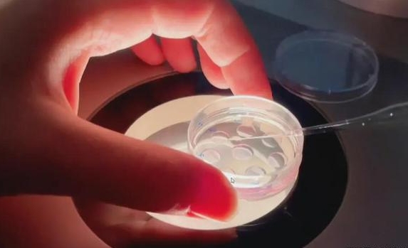 惠州三代试管婴儿：现状、风险与选择