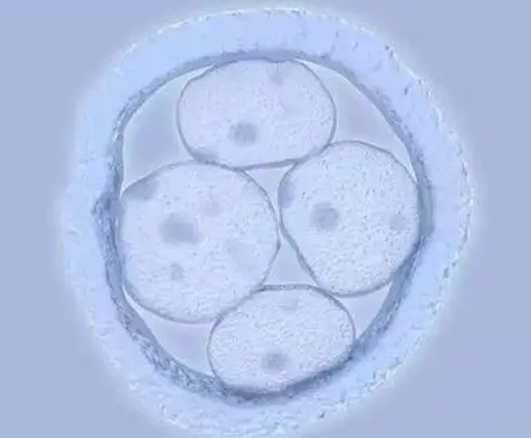 咸宁三代试管医院排名，哪些医院值得关注？