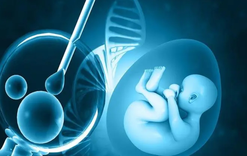 长沙妇幼建档秘籍：5 步走，开启孕期新篇章！