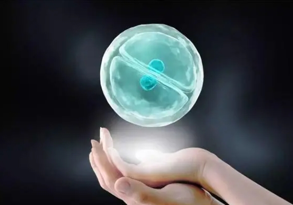 2024 武汉试管生男孩费用明细及成功率因素深度解析