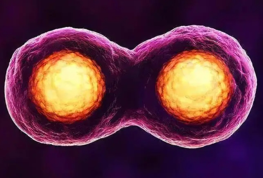 深圳第三代试管费用知多少？详细解析让你心中有数