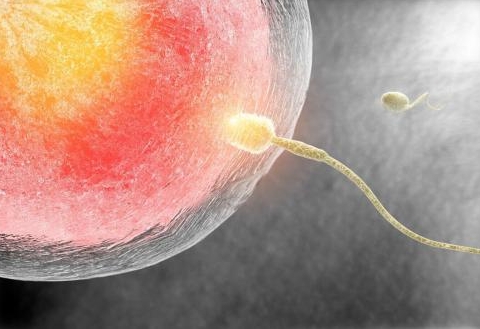 安徽第三代试管医院巡礼：探索生命诞生的新希望