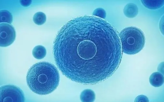探讨：试管保存 2 个冻胚与成功率的关系