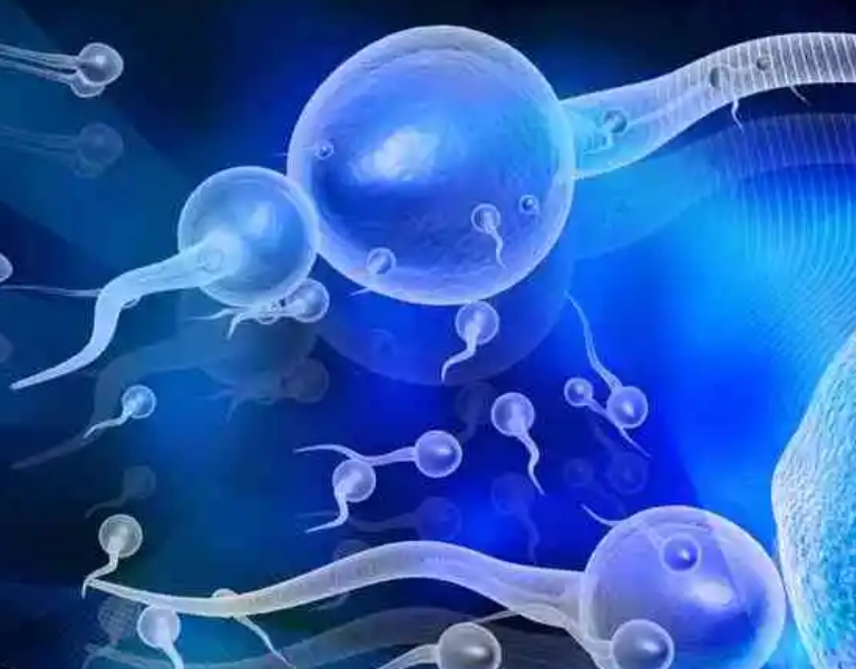 5 个 C 级精子能做试管吗？探究不同试管技术对精子的要求