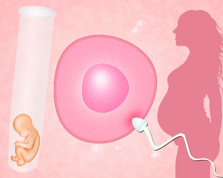 试管婴儿移植 40 天胎停有症状吗？