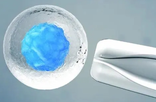 如何科学地进行卵泡监测？