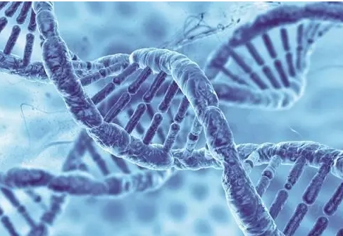 做试管婴儿前一定要做无创 DNA 检查吗？