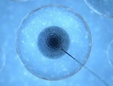做试管婴儿前的科学备孕指南 