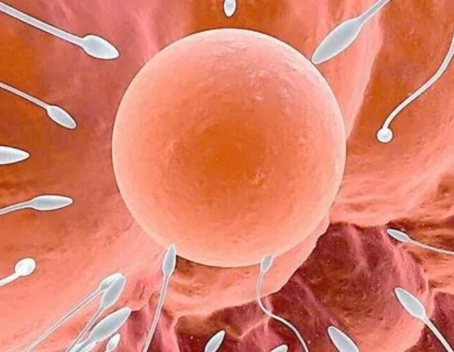 试管前的宫腔镜检查：原因与好处详解