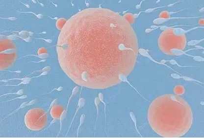科学备孕男宝攻略：简单方法助你一臂之力