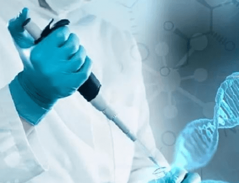 试管婴儿费用是多少？全面解析试管费用