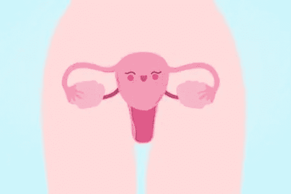 子宫腺肌症的成因与应对之策：尽早怀孕的重要性