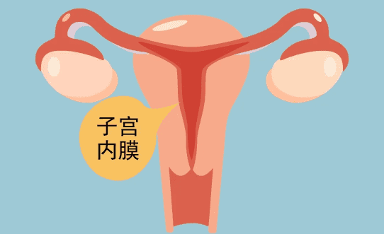 子宫内膜薄：潜在危害不容忽视