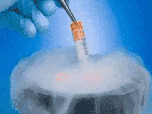 失独家庭的希望：试管婴儿需符合这些条件