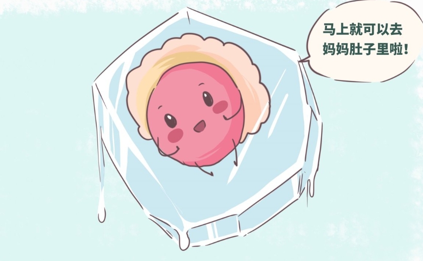 试管婴儿进周前的保养秘籍
