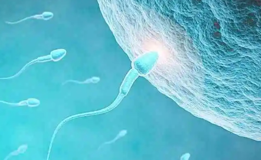 慢性乳腺炎与试管冻胚移植，是否相互影响？