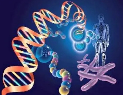 探讨第一代和第二代试管婴儿的不同之处