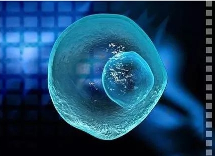 成都精子试管费用详解：你想知道的都在这里