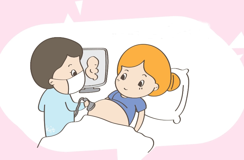 试管婴儿：开启生育奇迹的里程碑技术