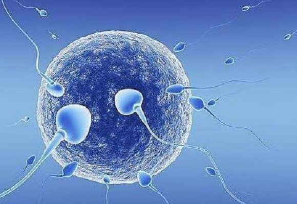 深度解析：三代试管对胚胎的影响及风险可控性探讨