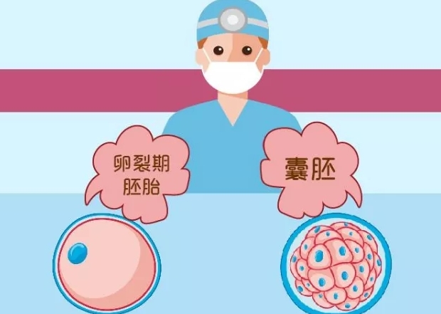 高龄试管供卵，“包成功” 的真相究竟如何？