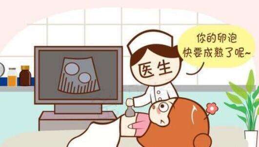甲减去泰国曼谷医院做试管要花费多少钱？费用明细是怎么样的