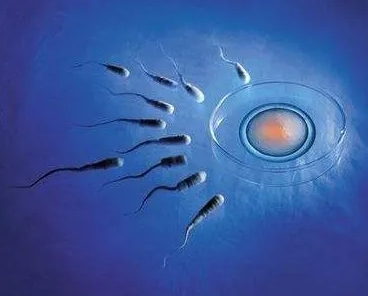 hiv患者可以去马来西亚马六甲医院做试管婴儿吗？需要花费多少钱