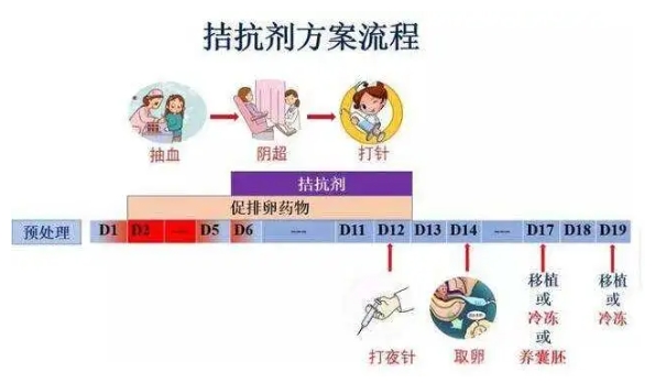 甲减可以去马来西亚生丰医院做试管婴儿吗？需要花费多少钱