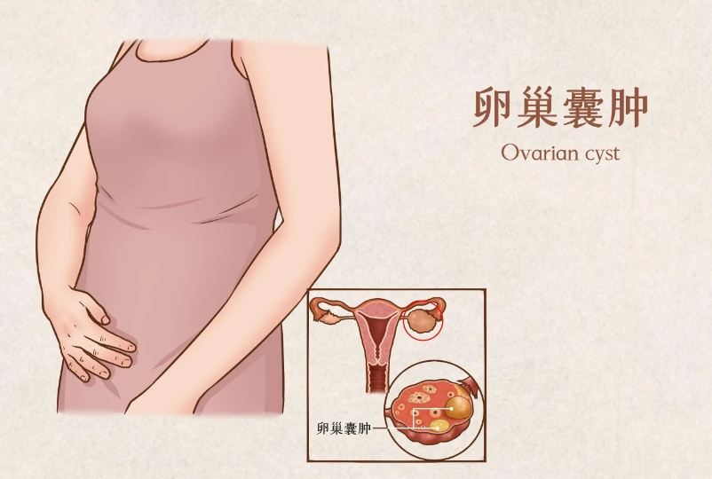 青岛三代试管婴儿费用详解及成功率概览