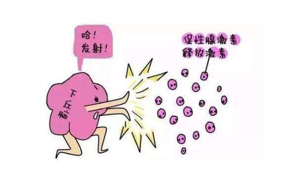 甲亢去北京做试管可以吗？流程是怎么样的
