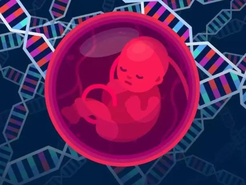 子宫息肉去厦门做试管可以吗？流程是怎么样的