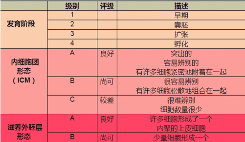 稽留流产史去浙江做试管可以吗？流程是怎么样的