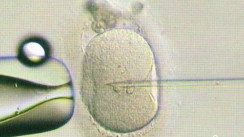 子宫肌瘤可以去深圳做试管吗？大概需要花费多少钱