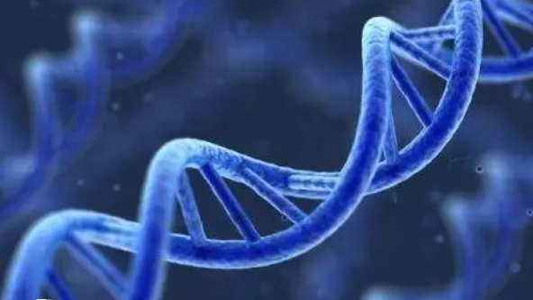 2025年hiv患者去马来西亚做试管可以吗？流程是怎么样的