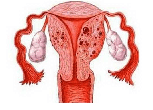 hiv患者可以去浙江做试管吗？大概需要花费多少钱