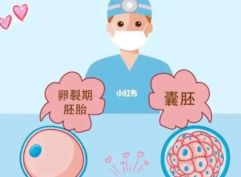 武汉大学人民医院试管婴儿多少钱？试管成功率是多少？