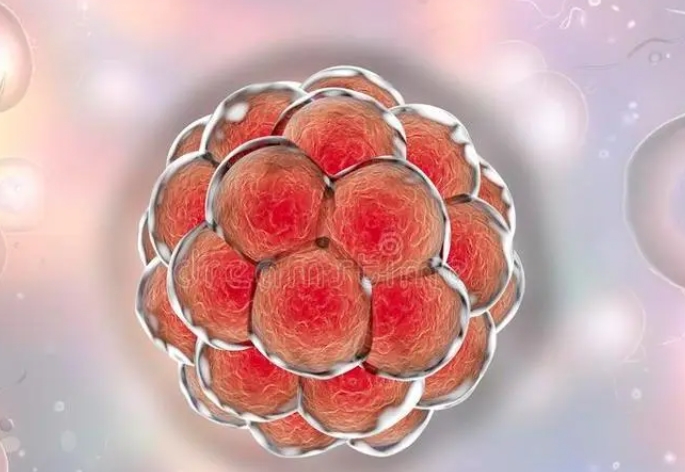 hiv患者去浙江做三代试管麻烦吗？需要花费多少钱
