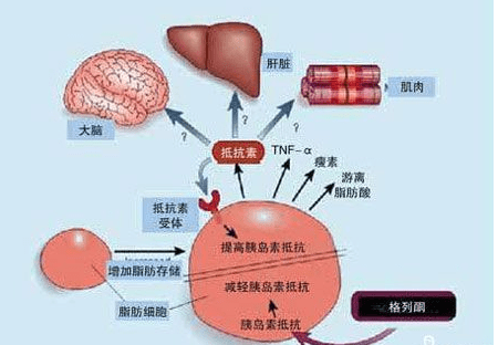 多囊去浙江做三代试管麻烦吗？需要花费多少钱